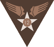 Sepia Version of 12th Air Force Patch