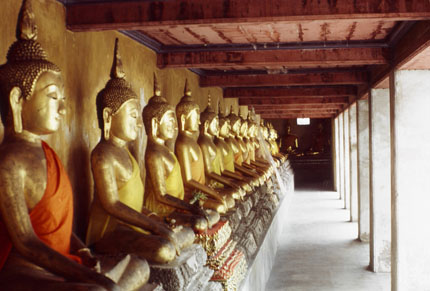 A Long Row of Golden Buddhas