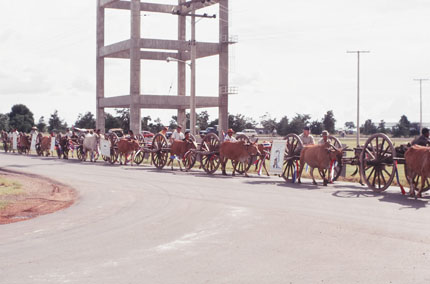 Ox Carts near Water Tower