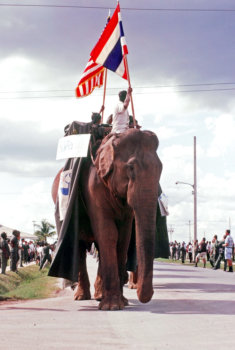 Front of Large Elephant
